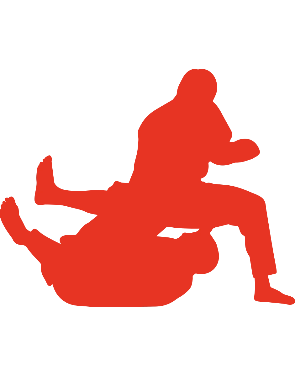 Brazilian jiu-jitsu icon representing martial arts discipline